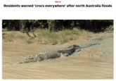 World Residents warned 'crocs everywhere' after north Australia floods REUTERS