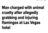 Man charged with animal cruelty after allegedly grabbing and injuring flamingos at Las Vegas hotel