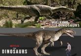 NETFLIX THE DINOSAURS WALKING WITH DINOSAURS