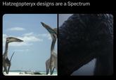 Hatzegopteryx designs are a Spectrum
