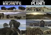 WALKING WITH PREHISTORIC BEASTS PREHISTORIC PLANET MA.