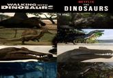 NETFLIX WALKING WITH THE DINOSAURS DINOSAURS BC