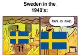 Sweden in the 1940's: THIS IS FINE.