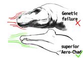 Genetic failure superior Aero-Chad