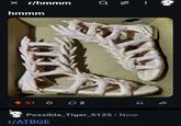 × r/hmmm Q 28 hmmm 51 ♡ 2 Possible_Tiger_5125. Now r/ATBGE ☑