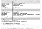 What medications the Primarchs should probably be on...* Horus Cipralex, Minoxidol, Zoloft Leman Russ Ribavirin, Aripiprazol Ferrus Manus Risperidone Fulgrim Aripiprazol, PrEP Vulkan Rogal Dorn Escitalopram Roboute Guilliman Prozac Magnus the Red Clozapine Sanguinius Iron Depository Lion El'Jonson Perturabo Citalopram Aripiprazol, Buproprione Every possible antiviral and antibiotic, Cipralex Olanzapine, Zoloft Mortation Lorgar Jaghatai Khan Konrad Curze Fluoxetine, Risperidone Angron Risperidone, Lorazepam Corvus Corax Cipralex Alpharius Omegon Risperidone, Aripiprazol *I am not a doctor or psychiatrist, just a mentally ill bitch who's been in and out of mental health institutions her whole life and has been on a LOT of meds and been around a LOT of mentally ill people on a variety of medications