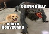OGRYN BULLY OGRYN BODYGUARD imgflip.com