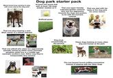 Mixed breed dog wanting to play with every dog at the dog park Dog park starter pack At least one tennis ball with at least 100 dogs slobber residue on it That one super friendly Labrador/golden retriever who isnt too aggressive towards the dogs and prefers to be with the humans instead That one dad with his baby at the dog park for some reason That one dog wearing a vest (their owner is a retired veteran) Artificial grass That one pitbull who plays too aggressively (Usually owned by either some wannabe gangster white boy or a middle age wannabe southern man. Either way they're irresponsible dog owners) GUY AT THE DOG PARK WHOSE DOG WON'T STOP ATTACKING ALL THE OTHER DOGS STARTER PACK Dog poop occasionally on the ground These dogs barking at every other dog and human at the park The one basset hound sniffing everywhere instead of playing with the other dogs