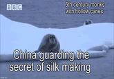 imgflip.com BBC 6th century monks with hollow canes China guarding the secret of silk making