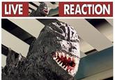 LIVE REACTION