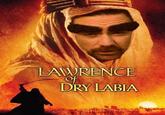 LAWRENCE DRY LABIA