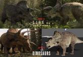 NETFLIX LIFE ON Y OUR PLANET NETFLIX THE DINOSAURS