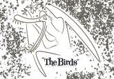 "The Birds"