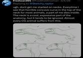 Fredward95 @FredtheDinoman · 3/4/26 Replying to @Sketchy_raptor ugh, dont get me started on necks. Everytime I see that horrible concave curve in the top of the neck for most animals, a part of me dies inside. The neck is a cool, expressive part of the anatomy, but it tends to be ignored. Almost every CG animal suffers from this.