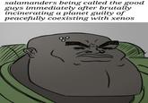salamanders being called the good guys immediately after brutally incinerating a planet guilty of peacefully coexisting with xenos