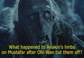 What happened to Anakin's limbs on Mustafar after Obi-Wan cut them off?