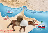 Strait of Hormuz F... -- Strait of Hormuz Drop Off Point Giant oil-carrying donkey Pickup Point