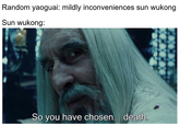 Random yaoguai: mildly inconveniences sun wukong Sun wukong: So you have chosen... death.