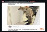 From Funnymemes community on Reddit Massive rat found in Johannesburg residence Ashley K. @AshleyKSmalls Let him go. He has 4 turtles at home that need his care