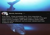 + david_fanning 2d Fun fact. They predate fire. Fire requires a minimum of 16% oxygen to burn. Earth only got that much oxygen 350-400 million years ago. Also no other planet we've ever observed can support fire.