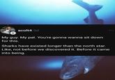 acolt4 3d + My guy. My pal. You're gonna wanna sit down for this. Sharks have existed longer than the north star. Like, not before we discovered it. Before it came into being. ...