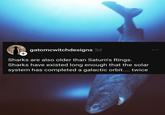 gatomcwitchdesigns 3d Sharks are also older than Saturn's Rings. Sharks have existed long enough that the solar system has completed a galactic orbit.... twice