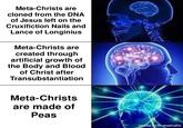 Meta-Christs are cloned from the DNA of Jesus left on the Cruxifiction Nails and Lance of Longinius Meta-Christs are created through artificial growth of the Body and Blood of Christ after Transubstantiation Meta-Christs are made of Peas made with mematic