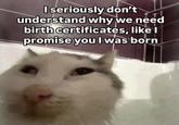 I seriously don't understand why we need birth certificates, like I promise you I was born