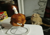 Pie 16