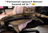 "Personal space? Never heard of it." sarcasm