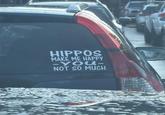 HIPPOS MAKE ME HAPPY YOU- NOT SO MUCH