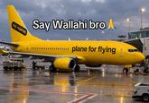 A plane branded with the No Name logo.