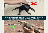 INCORRECTO X GUÍA RÁPIDA PARA LA MANIPULACIÓN DE DINOSAURIOS PARAVIANOS CORRECTO