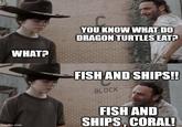 WHAT? YOU KNOW WHAT DO DRAGON TURTLES EAT? imgflip.com FISH AND SHIPS!! BLOCK FISH AND SHIPS, CORAL!
