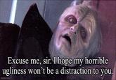 Excuse me, sir. I hope my horrible ugliness won't be a distraction to you. imgflip.com