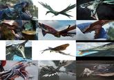 in ang Rau 'alan ini. hing in its path. THAHDAS