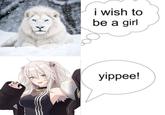 i wish to be a girl yippee!