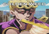 GOLDEN WEED