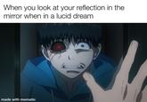 When you look at your reflection in the mirror when in a lucid dream made with mematic