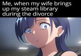 Me, when my wife brings up my steam library during the divorce