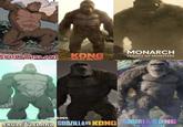 ESCAPE FROM SKULL ISLAND KONG SKULL ISLAND MONARCH LEGACY OF MONSTERS MOJI54 SKULL ISLAND GODZILLAVS KONG GODZILLA KONG THE NEW ENTIRE