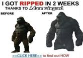 I GOT RIPPED IN 2 WEEKS THANKS TO Adam wingard BEFORE AFTER >>CLICK HERE<< to find out HOW