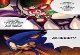 SONIC, YOU HAVE TO LIVE... I'LL NEVER FORGET YOU... ...I'LL BE HERE BY YOU, ALWAYS. A PART OF THE EARTH YOU TREAD. Opesito Opesito CHIIIP!