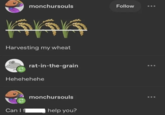 monchursouls ཧད Harvesting my wheat rat-in-the-grain Hehehehehe monchursouls Can I f help you? Follow