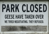 PARK CLOSED GEESE HAVE TAKEN OVER WE TRIED NEGOTIATING. THEY REFUSED.