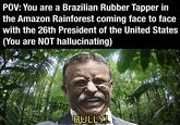 POV: You are a Brazilian Rubber Tapper in the Amazon Rainforest coming face to face with the 26th President of the United States (You are NOT hallucinating) BULLY!! u/e137