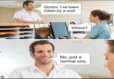Pun Hub Doctor, I've been bitten by a wolf. Where? PunHubOnline @Matthwiliams No, just a normal one.