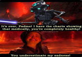 It's over, Padme! I have the charts showing that medically, you're completely healthy! u/Cronenberg C137 You underestimate my sadness!