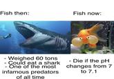 Fish then: Fish now: - Weighed 60 tons O Could eat a shark - One of the most - infamous predators of all time - Die if the pH changes from 7 to 7.1