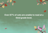 Over 87% of cats are unable to read at a third grade level.